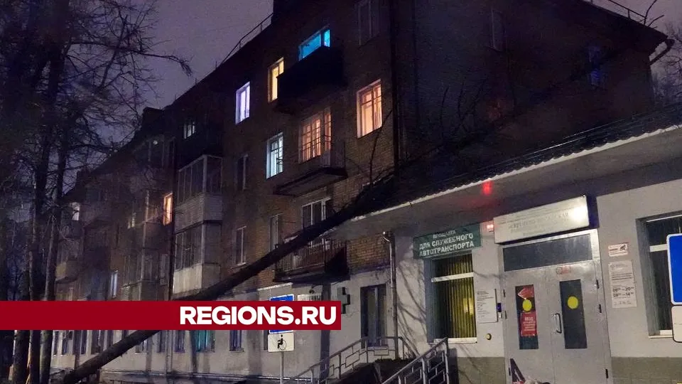 Фото: Дмитрий Зайчиков