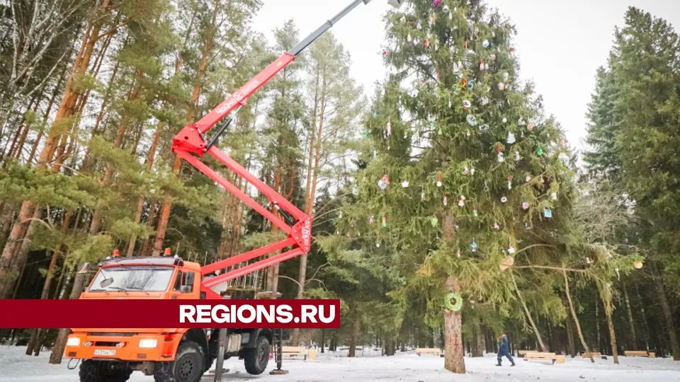 Фото: МедиаБанк Подмосковья/Данила Кирьянов