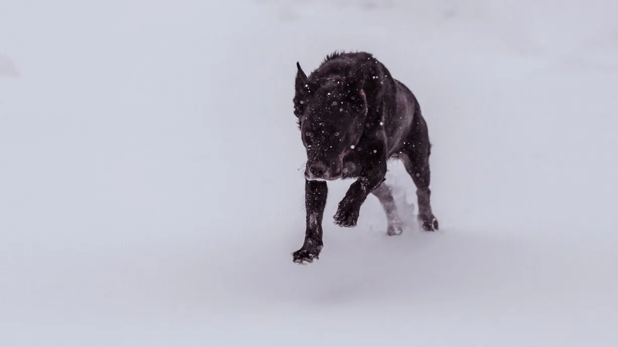 Фото: freepik.com