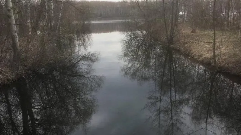 Минэкологии Подмосковья: причина замора рыбы в водоеме вблизи деревни Медвежьи Озера выясняется