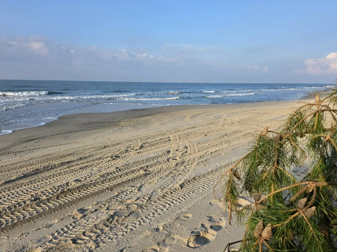 Фото: Елена Колосова