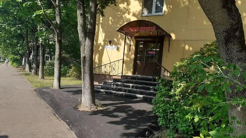Клены закатали в асфальт владельцы парикмахерской в Жуковском