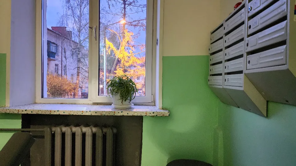 Фото: МедиаБанк Подмосковья/Ирина Моисеева