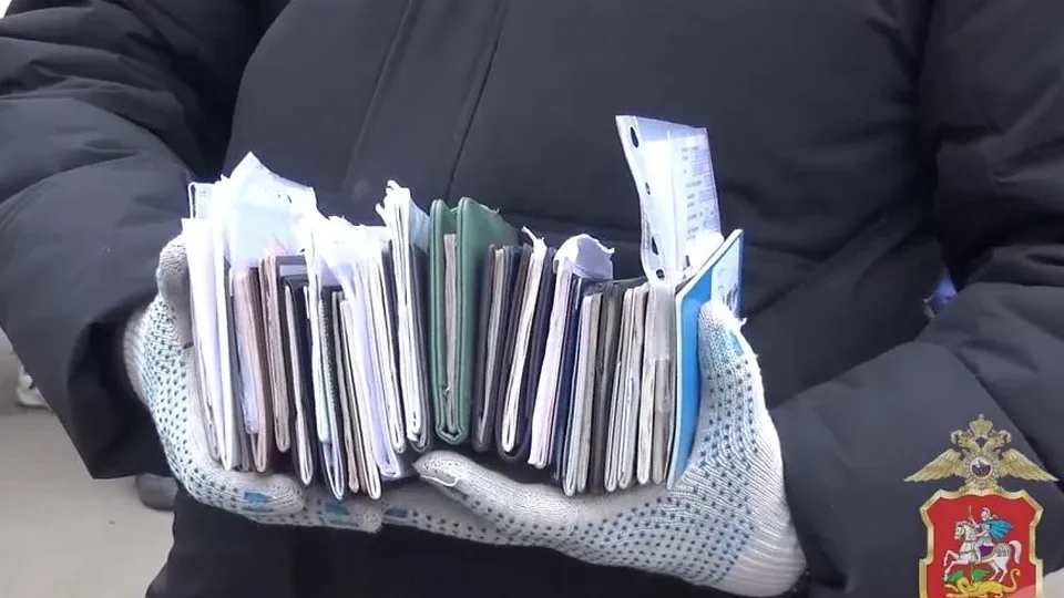 Фото: пресс-служба ГУ МВД России по Московской области