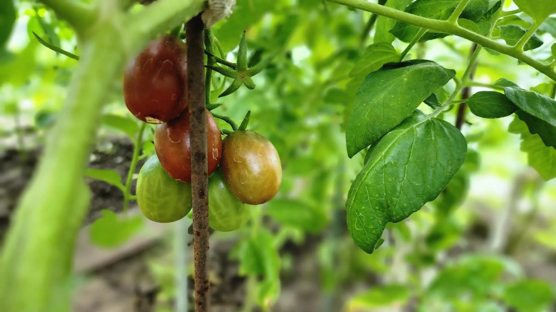 Фото: Наталья Надточая