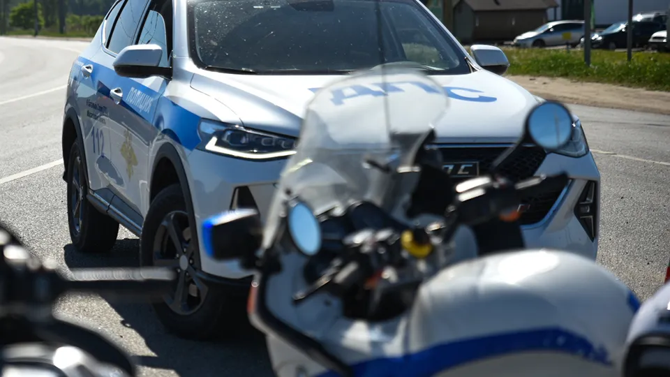 Фото: МедиаБанк Подмосковья/Ольга Антонова