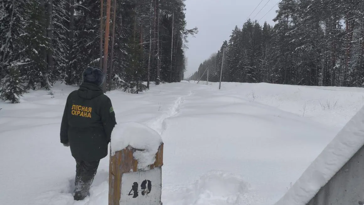 Комитет лесного хозяйства Московской области