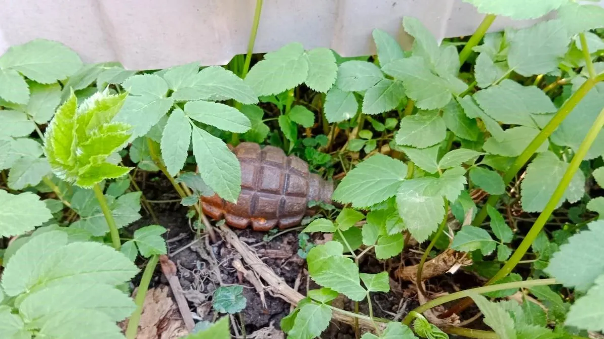 ГКУ МО "Мособлпожспас"