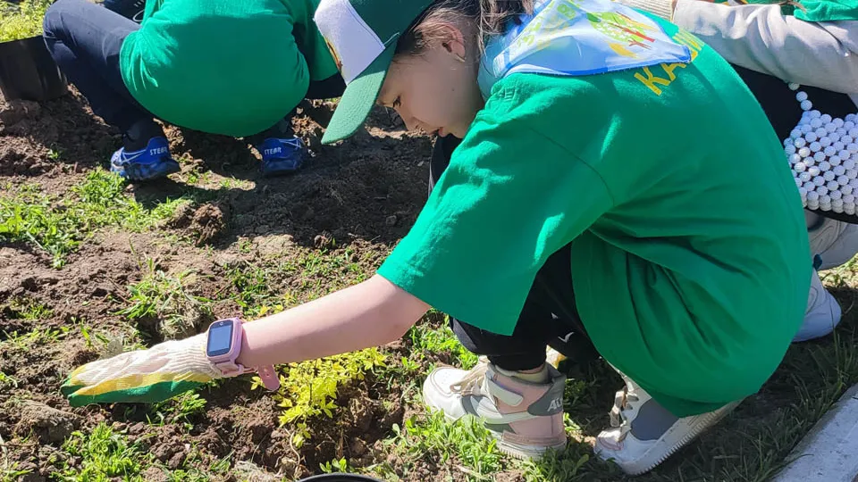 Фото: Медиабанк Подмосковья/Анна Мороз