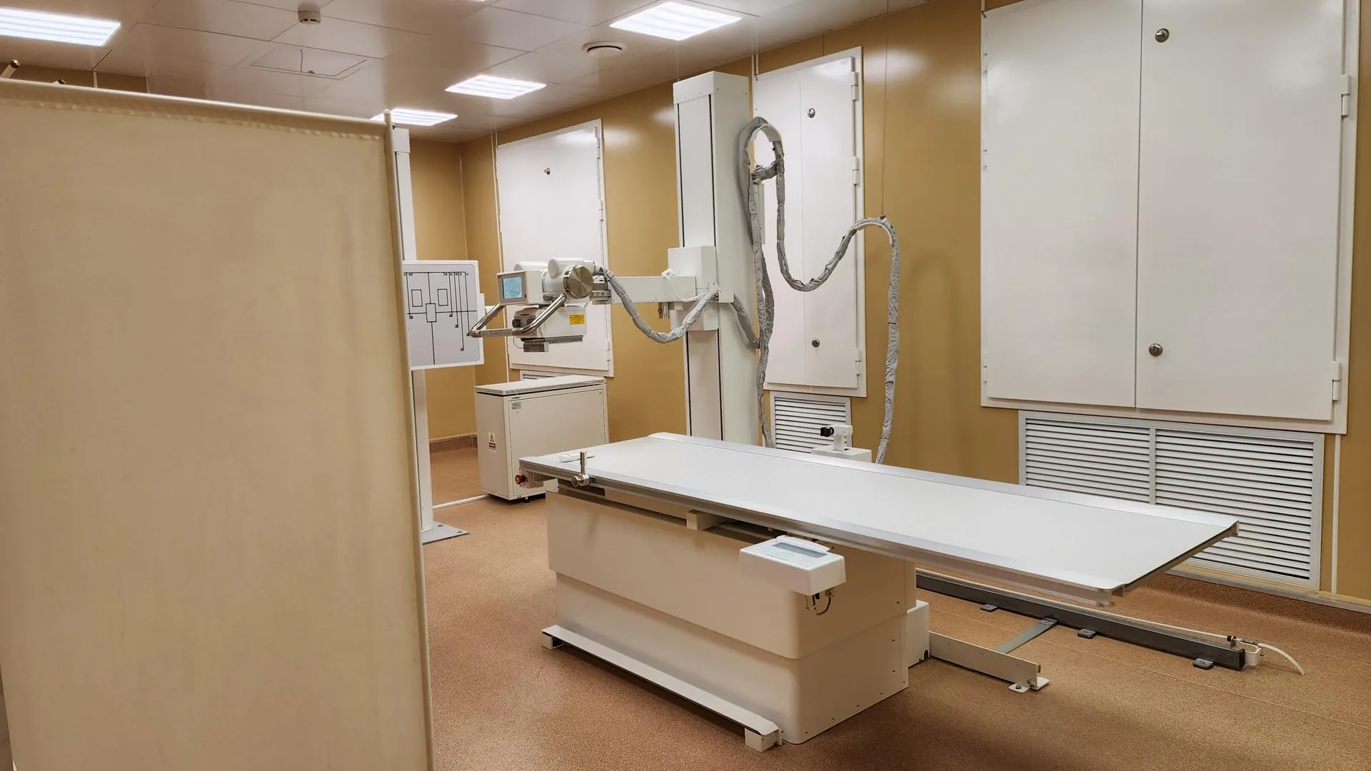 Ирина Моисеева