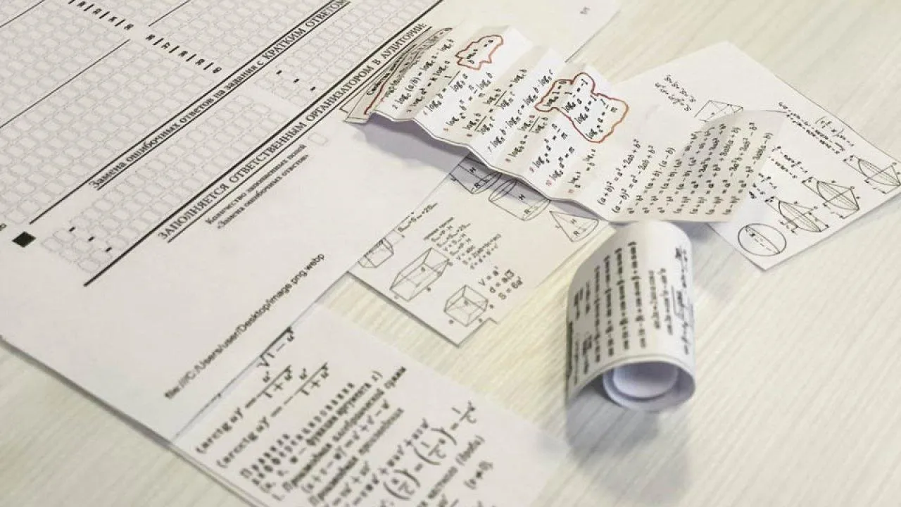 REGIONS/Дарина Левкина