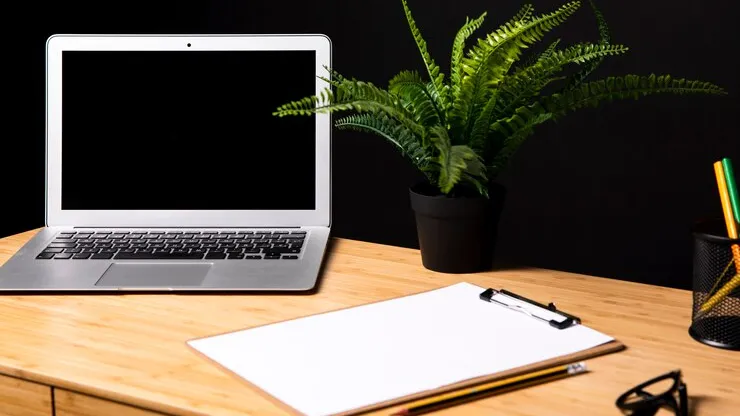 Фото: freepik.com