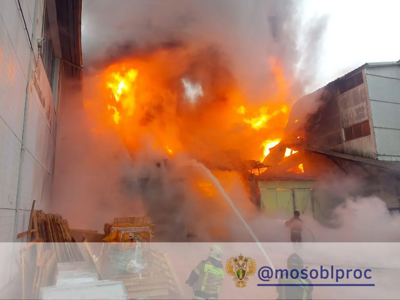 Прокуратура Московской области