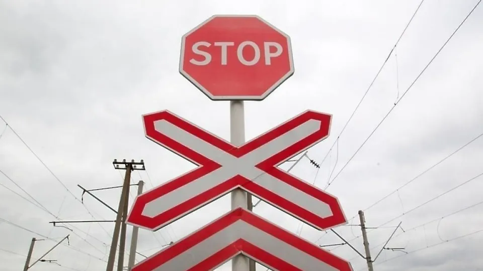 Фото: Администрация городского округа Истра