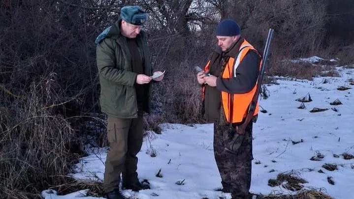 Фото: Комитет лесного хозяйства Московской области
