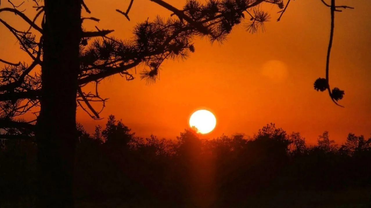 REGIONS/Анастасия Широкая