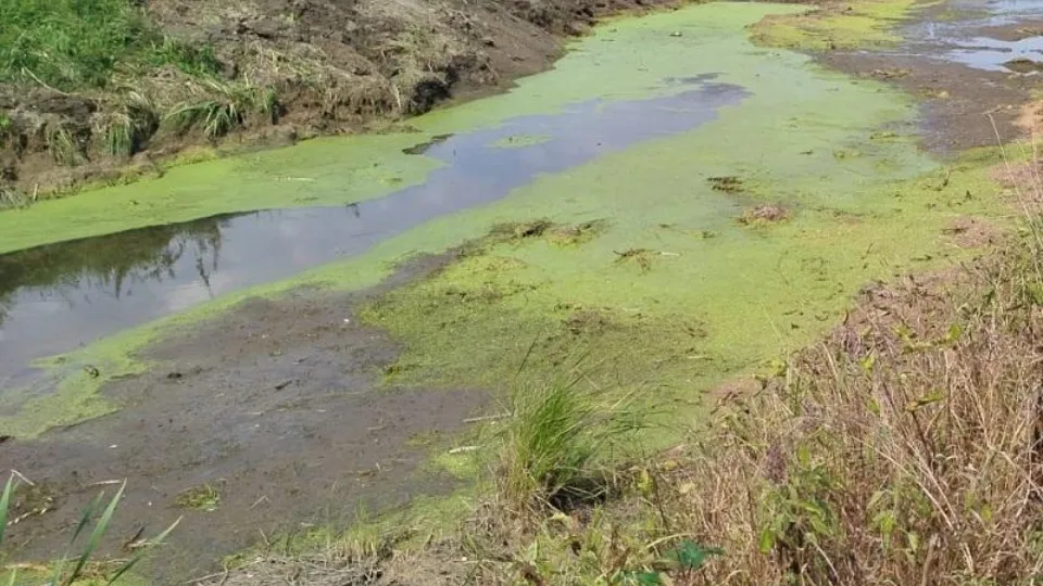 Фото: Министерство экологии и природопользования Московской области