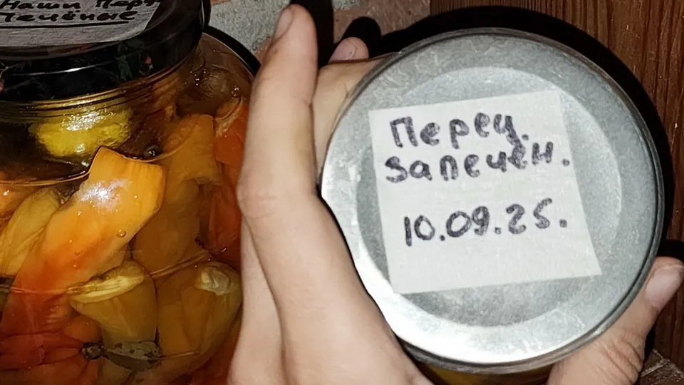 Фото: МедиаБанк Подмосковья/Ксения Пашуто