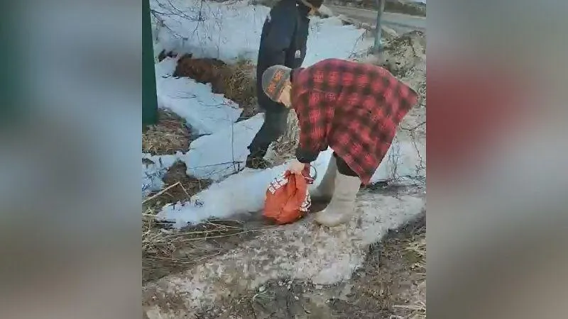 Кота из завязанной сумки спасли прохожие под Талдомом