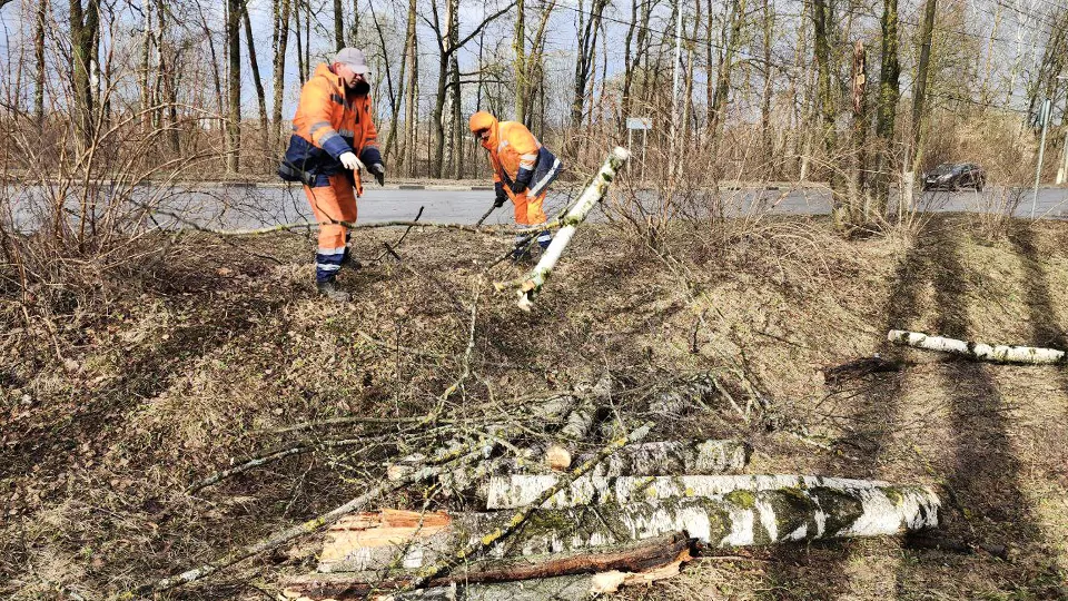 Фото: МедиаБанк Подмосковья/Яна Шаливская