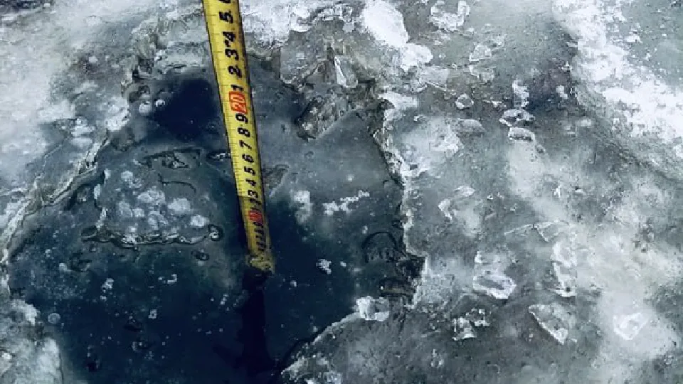 Фото: ГКУ МО «Мособлпожспас»