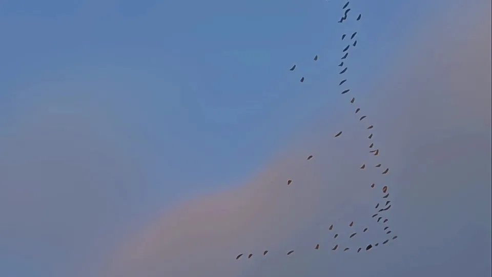 Фото: REGIONS/Ольга Ковалева