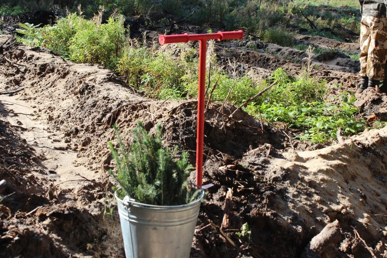 Фото: пресс-служба администрации округа