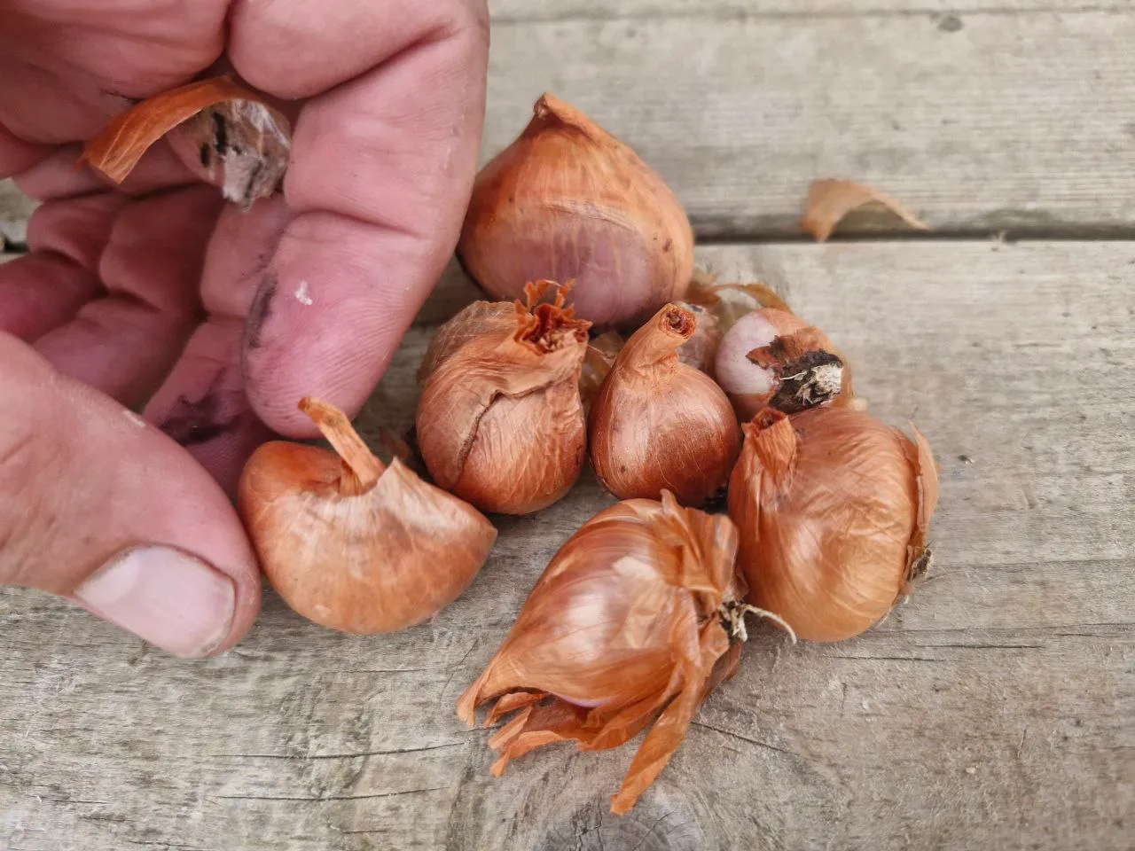 Фото: REGIONS/Наталия Надточая