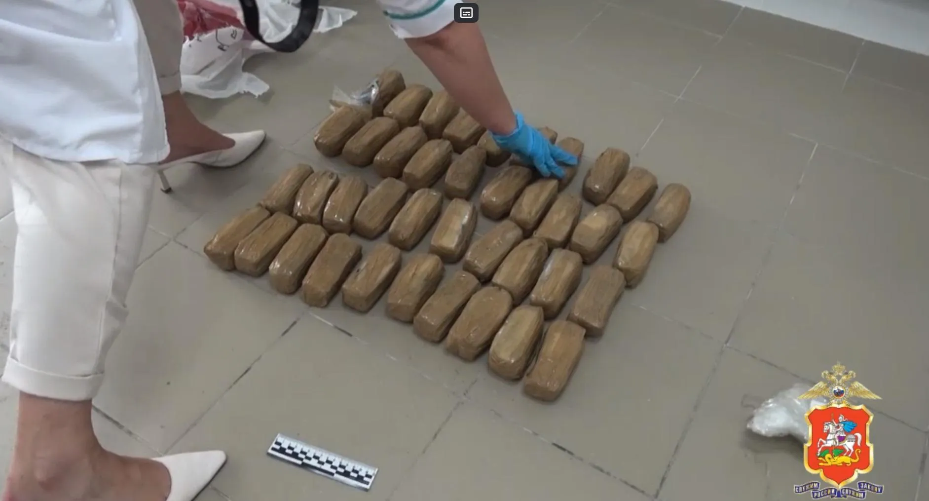 фото: ГУ МВД России по Московской области