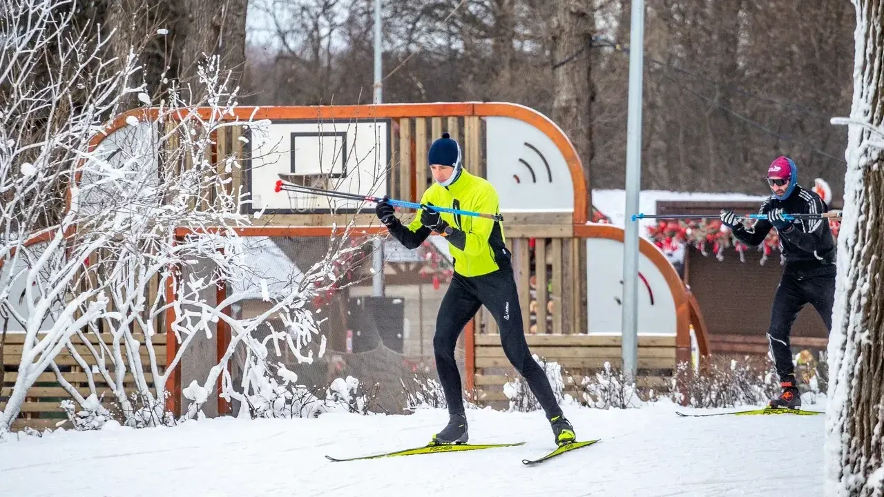 Министерство благоустройство Московской области