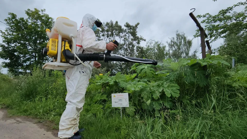 Фото: Екатерина Данилина