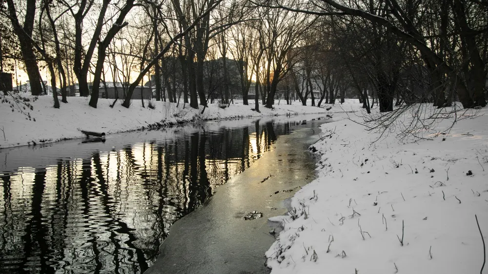 Image by freepik