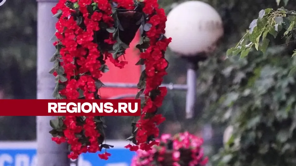 Фото: Дмитрий Зайчиков