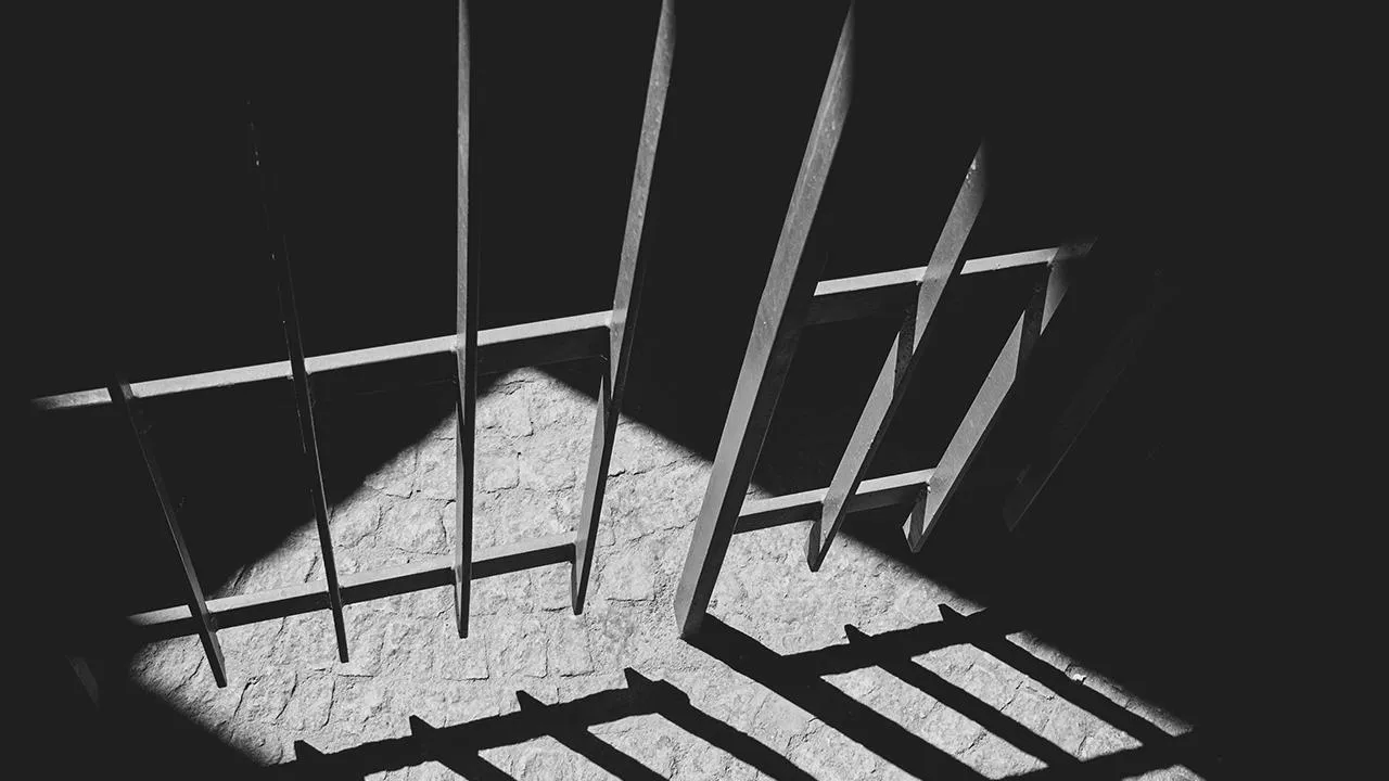 Житель Ленобласти был осужден на семь лет строгого режима за уклонение от СВО