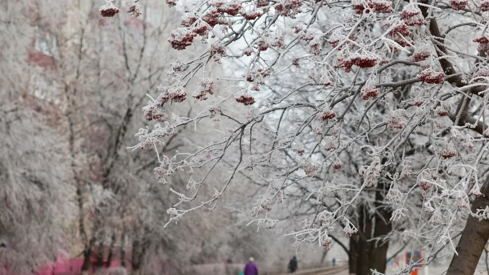 Фото: медиасток.рф