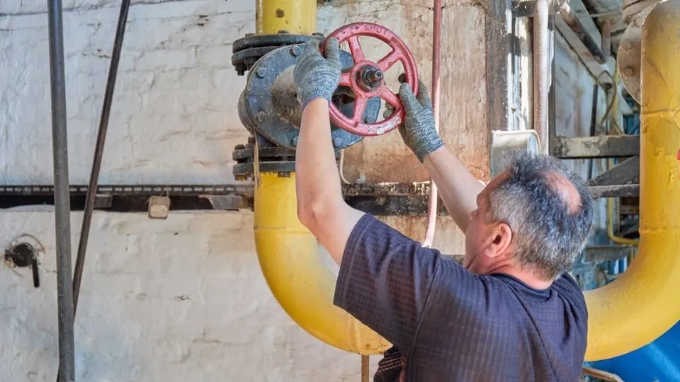 Фото: Администрация м.о. Чехов