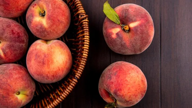 Фото: ru.freepik.com