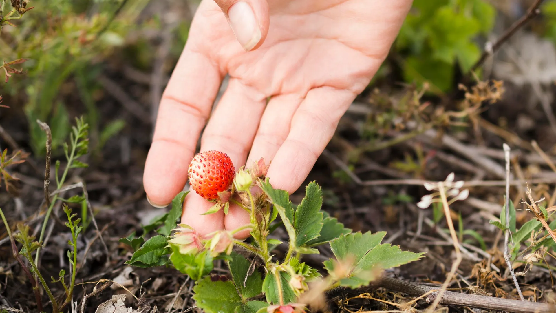 Фото: freepik.com