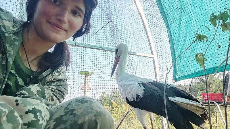 Активисты спасли белого аиста, занесённого в Красную книгу региона