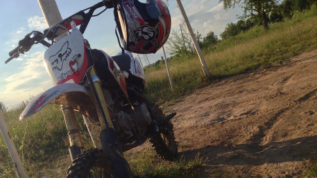 Фото: REGIONS/Владимир Ерастов