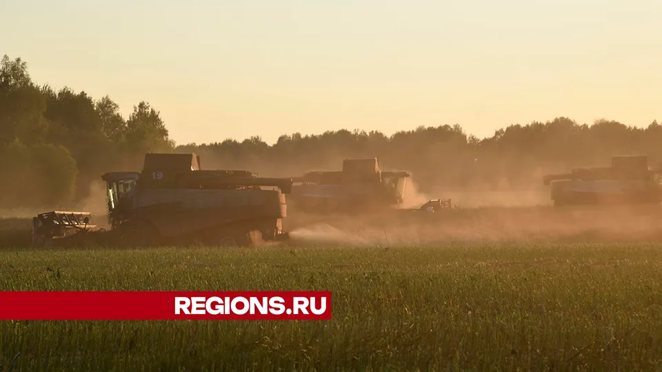Фото: Владимир Останин