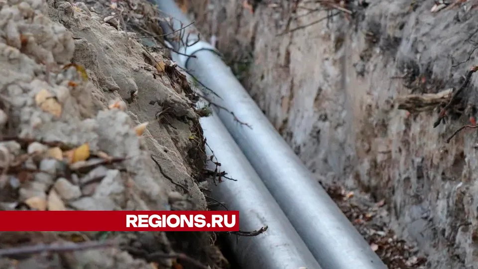Фото: REGIONS/Василий Тремасов