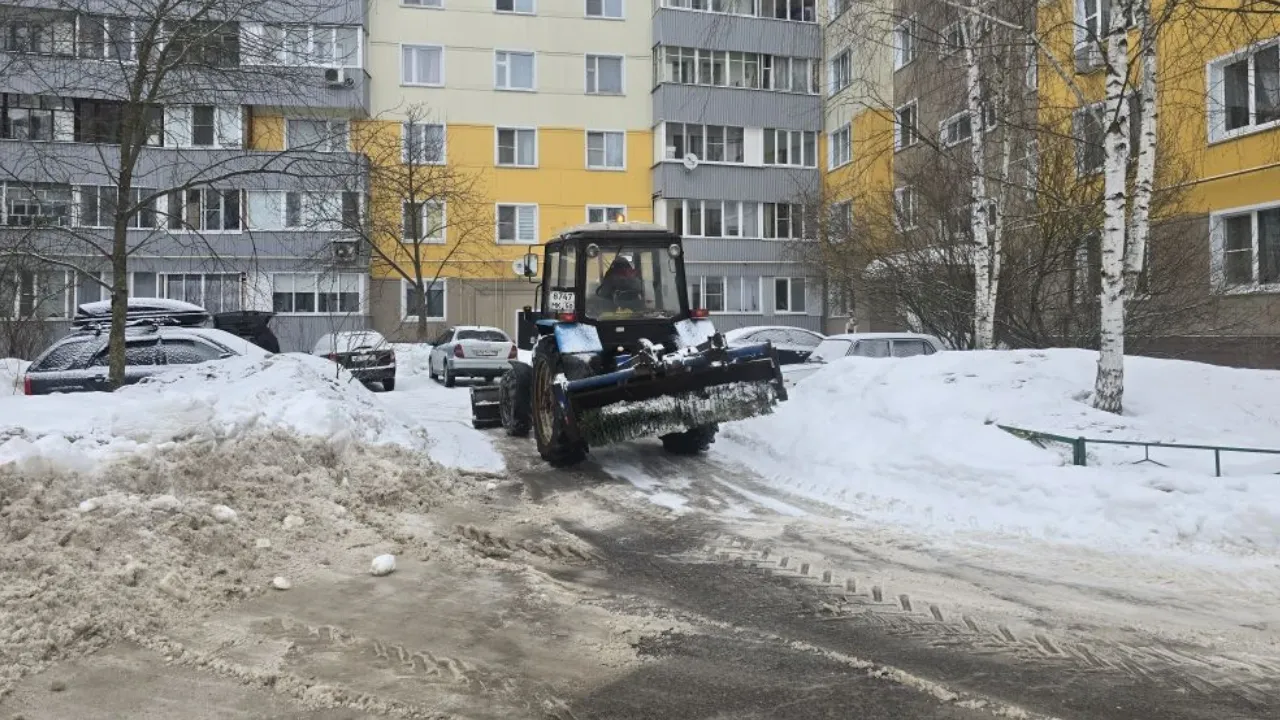 REGIONS/Яна Шаливская