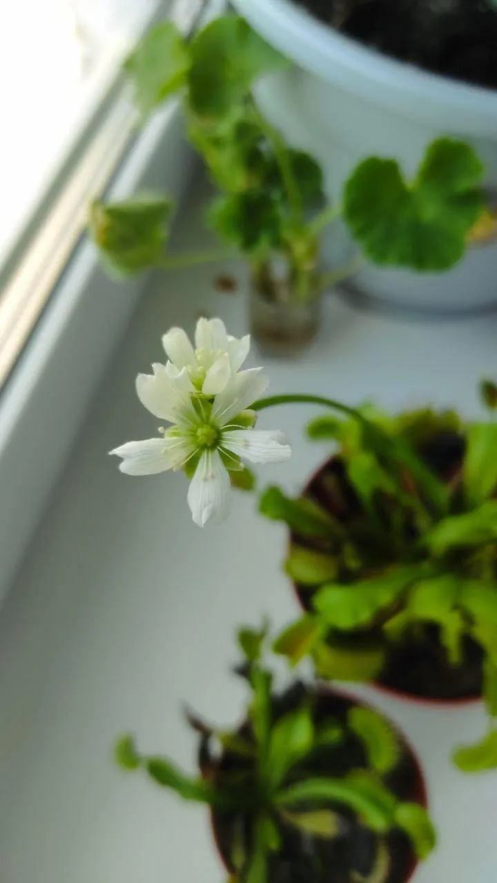 Фото: Елена Синельникова