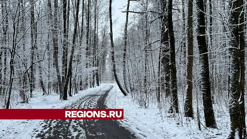 Фото: REGIONS/Елена Фурман