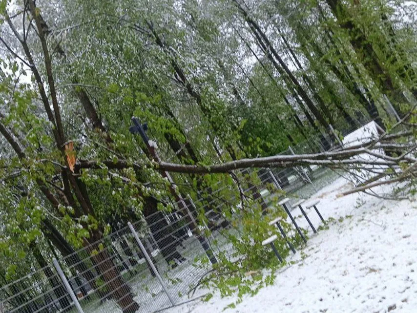 Фото: МБУК  «Городской парк культуры и отдыха»
