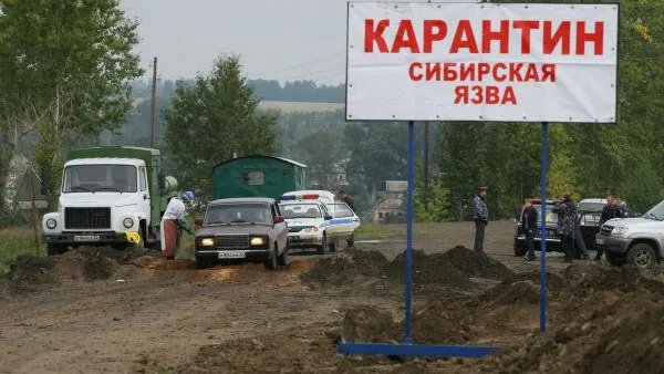 Восемь человек на Ямале заразились сибирской язвой