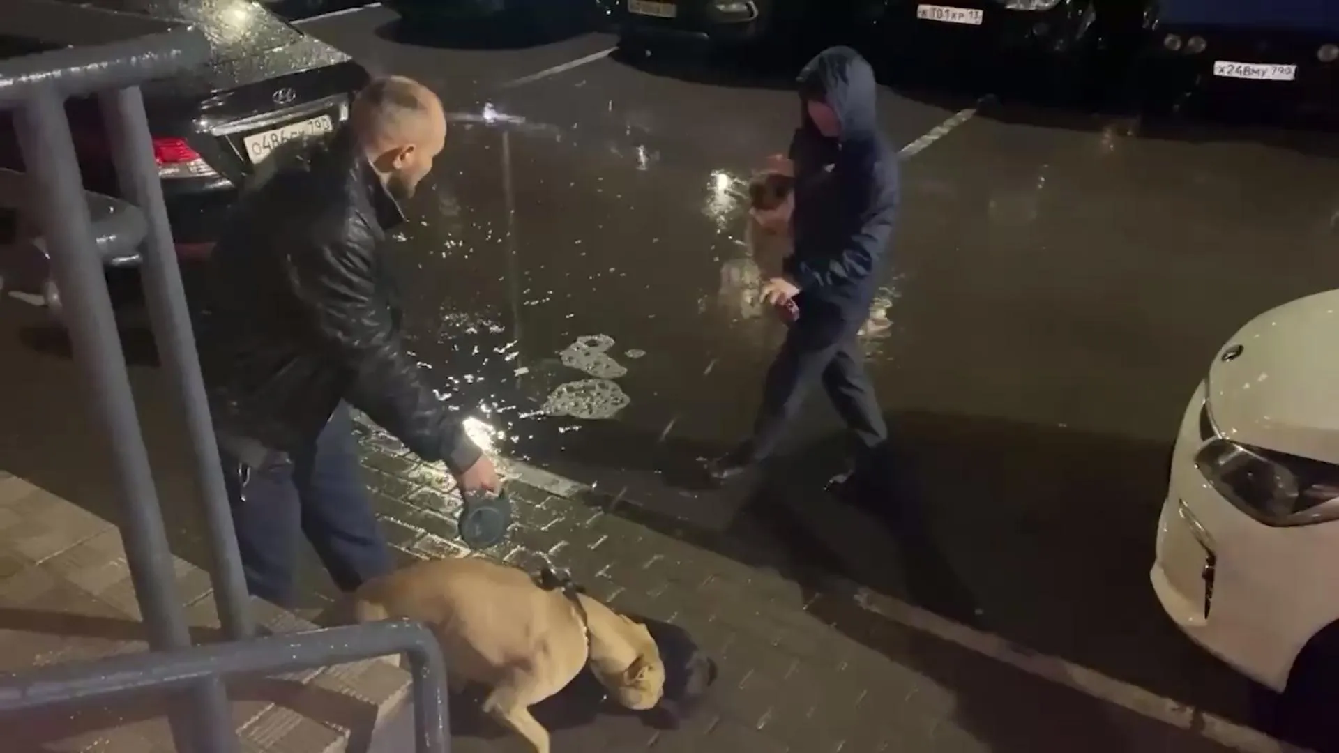 телеканал «Первый Мытищинский»