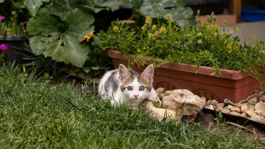 Фото: freepik.com