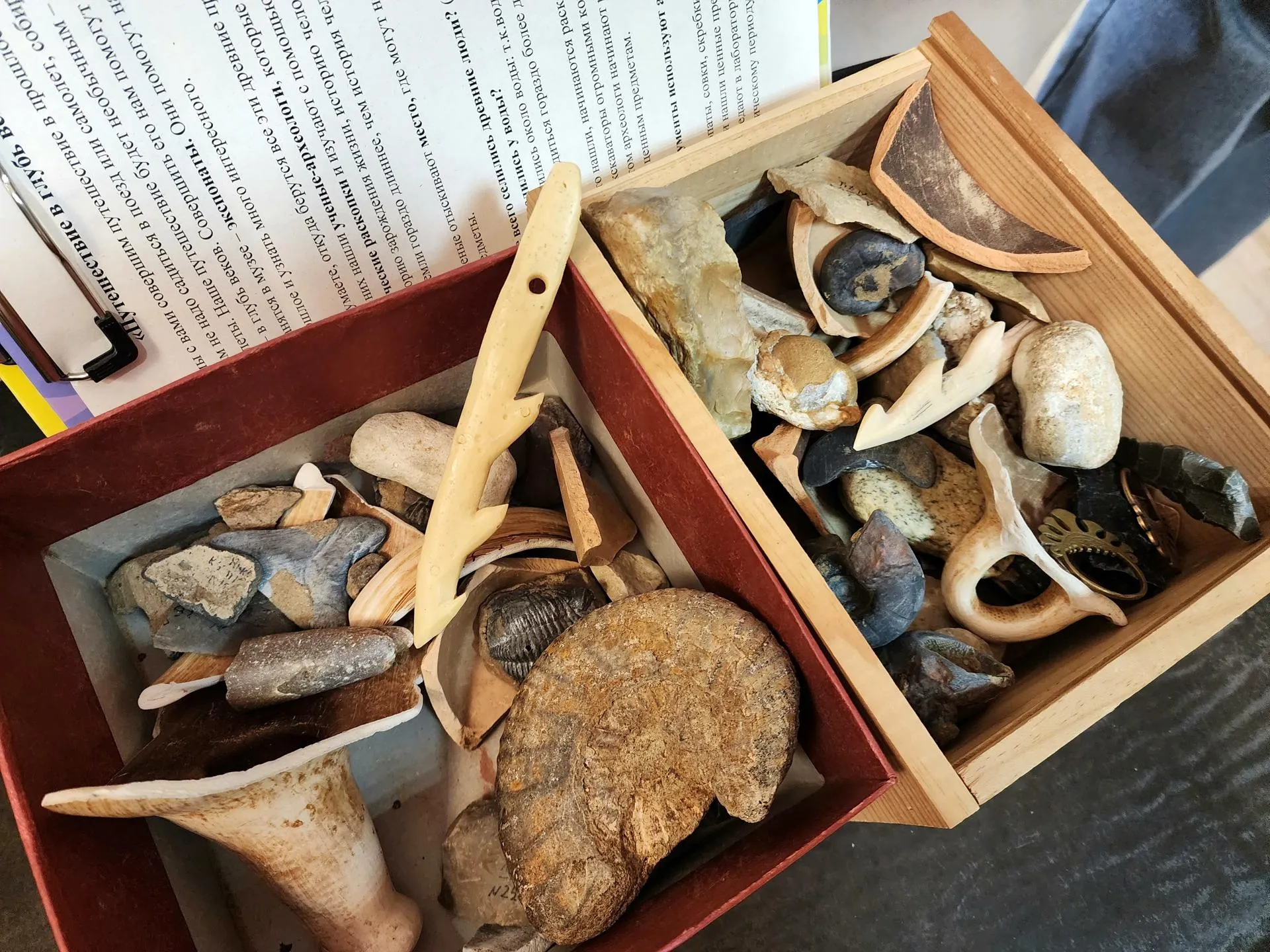 Фото: МедиаБанк Подмосковья/Юлия Унрау